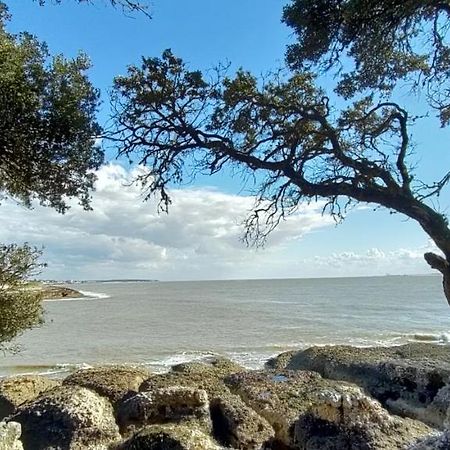 Campagne Et Mer Bed & Breakfast Saint-André-de-Lidon Eksteriør bilde