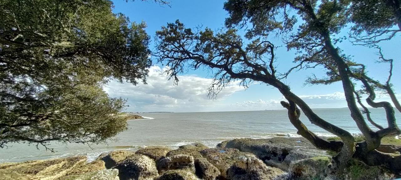 Campagne Et Mer Bed & Breakfast Saint-André-de-Lidon Eksteriør bilde